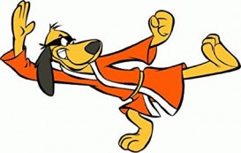 Phooey Kata 